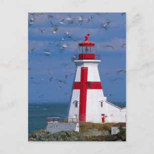 NA, Canada, New Brunswick, Campobello Island. 8 Postcard