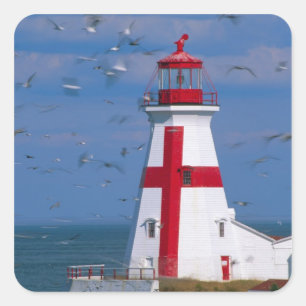 NA, Canada, New Brunswick, Campobello Island. 8 Square Sticker
