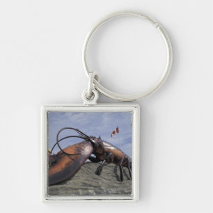 NA, Canada, New Brunswick, Shediak, World's Key Ring