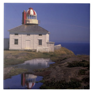 NA, Canada, Newfoundland, Cape Spear. Old Cape Tile