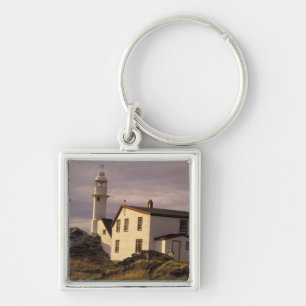NA, Canada, Newfoundland, Lobster Cove. Lobster Key Ring