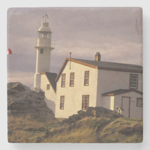 NA, Canada, Newfoundland, Lobster Cove. Lobster Stone Coaster