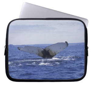 NA, Canada, Newfoundland, Trinity Bay. Humpback Laptop Sleeve