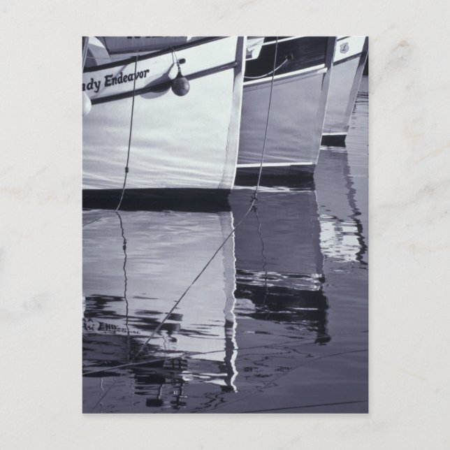 NA, Canada, Nova Scotia, Digby. Fishing boats; Postcard (Front)