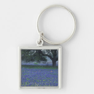 NA, Texas, Devine, Oak and blue bonnets Key Ring