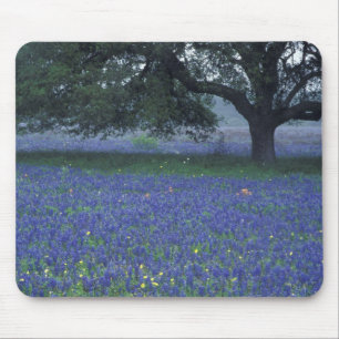 NA, Texas, Devine, Oak and blue bonnets Mouse Mat