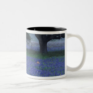 NA, Texas, Devine, Oak and blue bonnets Two-Tone Coffee Mug