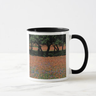 NA, Texas, Texas Hill Country, Buchan Dam, Mug