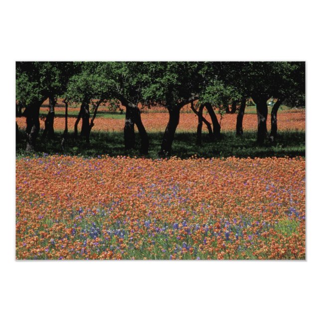 NA, Texas, Texas Hill Country, Buchan Dam, Photo Print (Front)