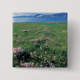 NA, USA, Alaska, Aleutian Island, Scenic with 15 Cm Square Badge