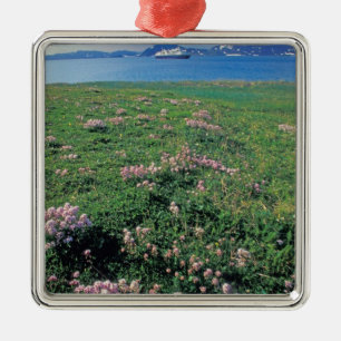 NA, USA, Alaska, Aleutian Island, Scenic with Metal Tree Decoration