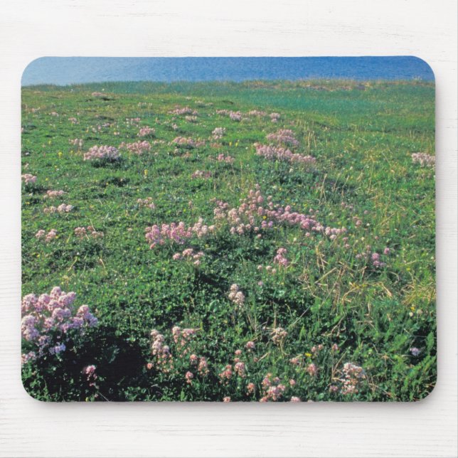 NA, USA, Alaska, Aleutian Island, Scenic with Mouse Mat (Front)