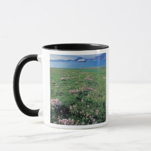 NA, USA, Alaska, Aleutian Island, Scenic with Mug