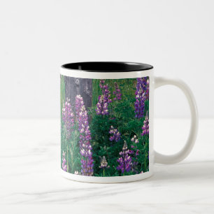 NA, USA, Alaska, Aleutian Islands, Unalaska, Two-Tone Coffee Mug