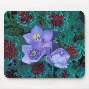 NA, USA, Alaska, Aleutian Islands, Wildflowers 2 Mouse Mat