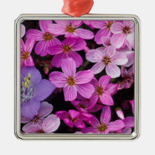 NA, USA, Alaska, Aleutian Islands, Wildflowers Metal Tree Decoration