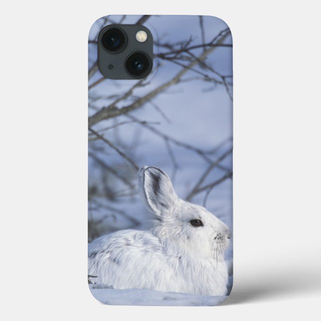 NA, USA, Alaska. Arctic National Wildlife Case-Mate iPhone Case (Back)