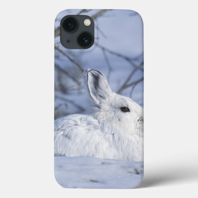 NA, USA, Alaska. Arctic National Wildlife Case-Mate iPhone Case (Back)