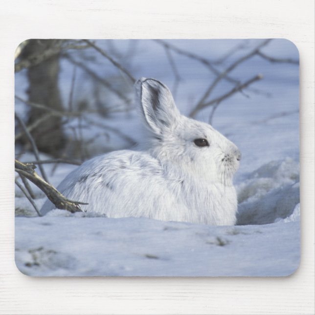 NA, USA, Alaska. Arctic National Wildlife Mouse Mat (Front)