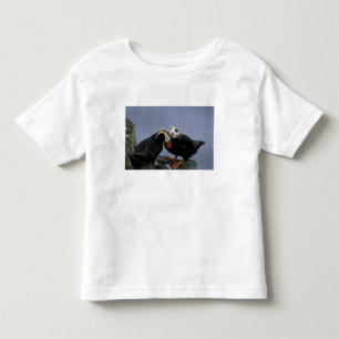 NA, USA, Alaska, Bering Sea, Pribilofs. Tufted Toddler T-Shirt