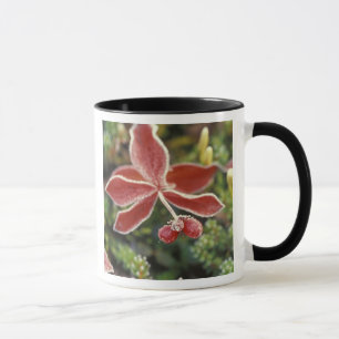 NA, USA, Alaska. Denali National Park, Wonder Mug
