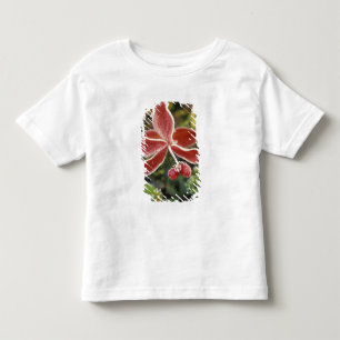 NA, USA, Alaska. Denali National Park, Wonder Toddler T-Shirt