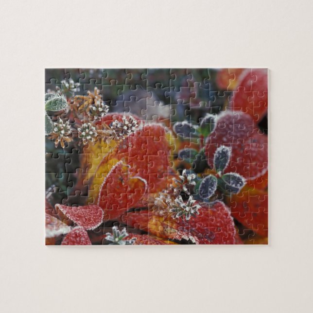 NA, USA, Alaska, Denali NP Frosted, fall-coloured Jigsaw Puzzle (Horizontal)