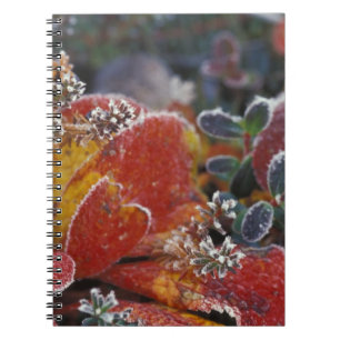 NA, USA, Alaska, Denali NP Frosted, fall-coloured Notebook