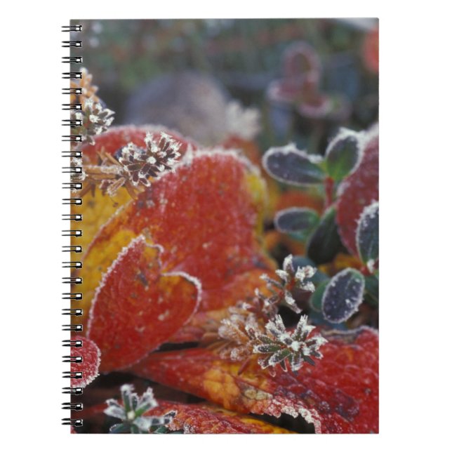 NA, USA, Alaska, Denali NP Frosted, fall-coloured Notebook (Front)