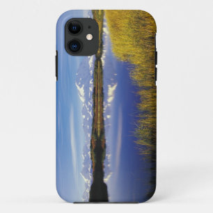 NA, USA, Alaska, Denali NP Mt. McKinley in iPhone 11 Case