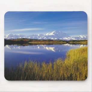 NA, USA, Alaska, Denali NP Mt. McKinley in Mouse Mat