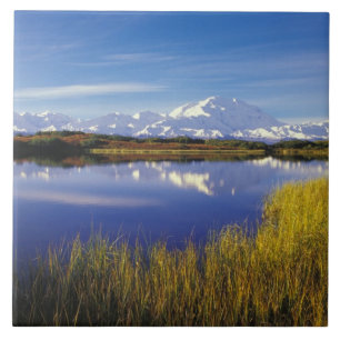 NA, USA, Alaska, Denali NP Mt. McKinley in Tile