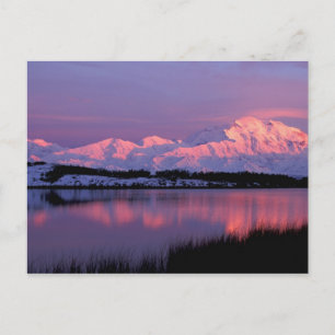 NA, USA, Alaska, Denali NP, Mt. McKinley, Postcard