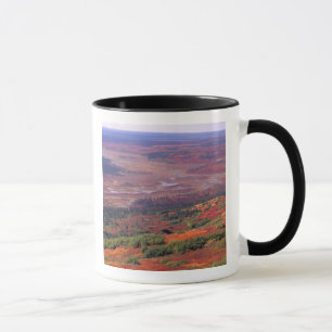 NA, USA, Alaska, Denali NP, View of McKinley Mug