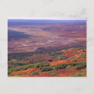 NA, USA, Alaska, Denali NP, View of McKinley Postcard