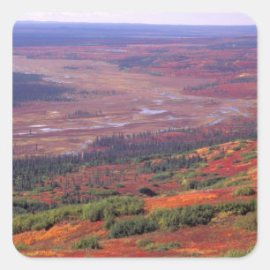 NA, USA, Alaska, Denali NP, View of McKinley Square Sticker