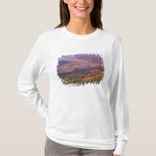 NA, USA, Alaska, Denali NP, View of McKinley T-Shirt