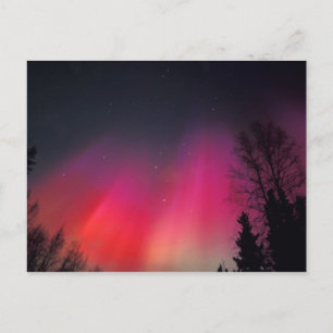 NA, USA, Alaska, Fairbanks, Curtains of pink and Postcard