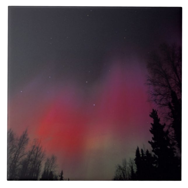 NA, USA, Alaska, Fairbanks. Curtains of purple, Tile (Front)
