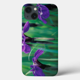 NA, USA, Alaska, Knight Island, Wild iris iPhone 13 Case
