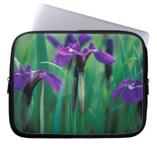 NA, USA, Alaska, Knight Island, Wild iris Laptop Sleeve