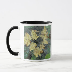 NA, USA, Alaska, Nancy Lake. Dew on spiderweb Mug