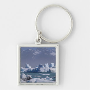 NA, USA, Alaska, St. Elias Range, Alsek River, Key Ring