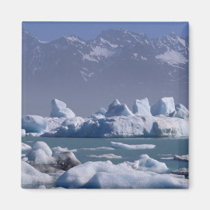 NA, USA, Alaska, St. Elias Range, Alsek River, Magnet