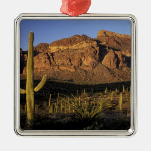 NA, USA, Arizona. Organ Pipe Cactus National 2 Metal Tree Decoration