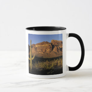 NA, USA, Arizona. Organ Pipe Cactus National 2 Mug
