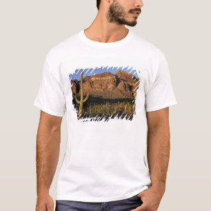 NA, USA, Arizona. Organ Pipe Cactus National 2 T-Shirt