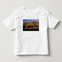 NA, USA, Arizona. Organ Pipe Cactus National 2