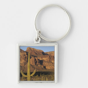 NA, USA, Arizona. Organ Pipe Cactus National Key Ring
