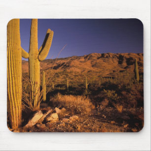 NA, USA, Arizona, Saguaro National Monument, Mouse Mat